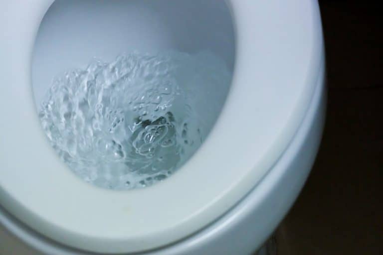 Why Does my Toilet Bubble When Showering?