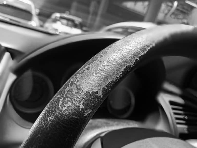 13 Best UV Protectant Sprays 2022 Reviews