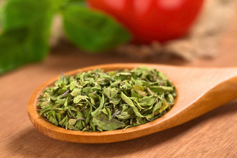16 Different Types of Oregano