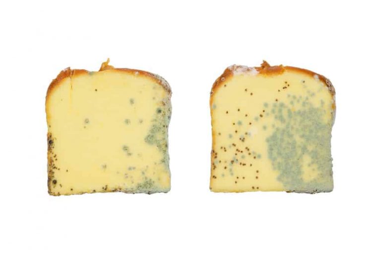 Can You Use Expired Butter? Will It Make You Sick?