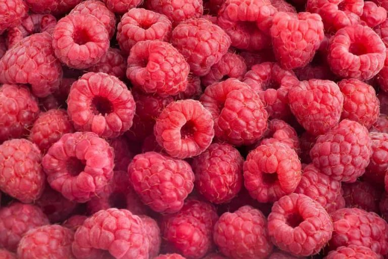 Complete List of Pink Foods